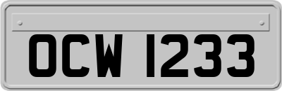 OCW1233