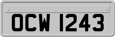 OCW1243
