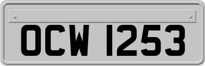 OCW1253
