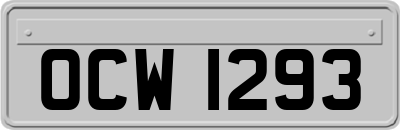 OCW1293