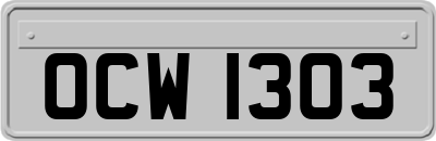 OCW1303