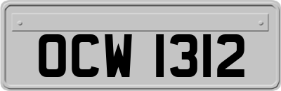OCW1312