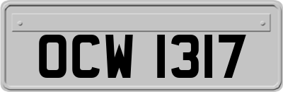 OCW1317