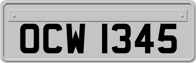 OCW1345