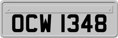 OCW1348