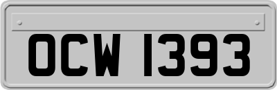 OCW1393