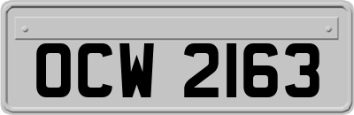 OCW2163