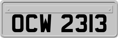 OCW2313
