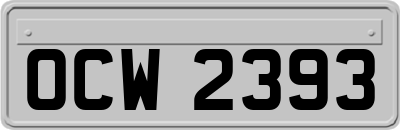OCW2393