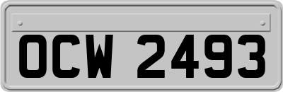 OCW2493