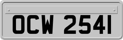 OCW2541