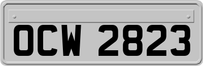 OCW2823