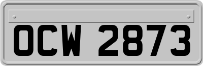 OCW2873
