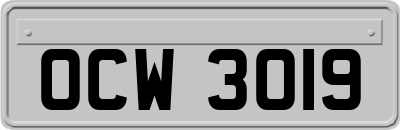 OCW3019