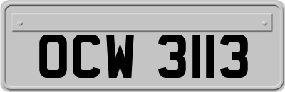 OCW3113
