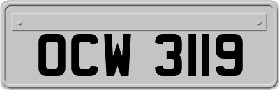 OCW3119
