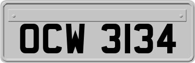 OCW3134