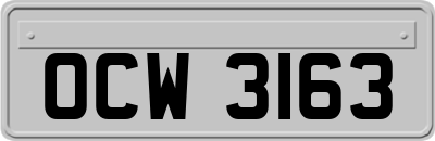 OCW3163