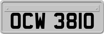 OCW3810