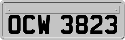 OCW3823