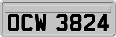 OCW3824