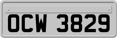 OCW3829