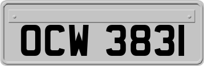 OCW3831