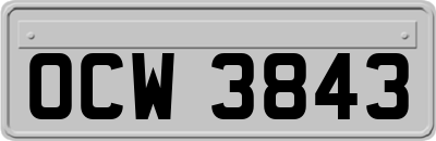 OCW3843