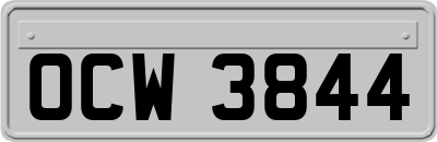 OCW3844