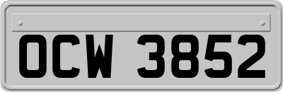 OCW3852