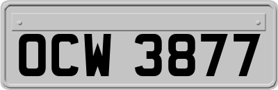 OCW3877