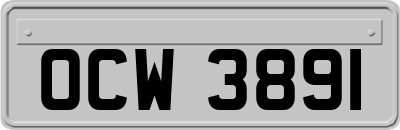OCW3891