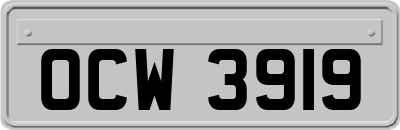 OCW3919