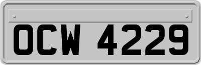 OCW4229