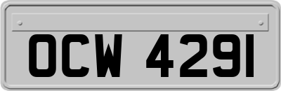 OCW4291