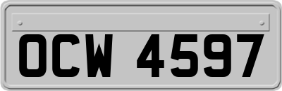 OCW4597