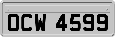 OCW4599