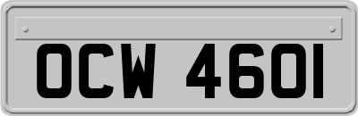 OCW4601