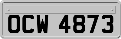 OCW4873