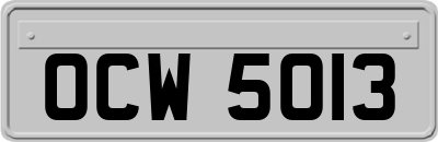 OCW5013