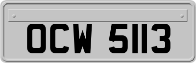 OCW5113