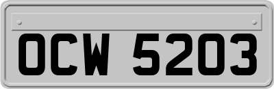 OCW5203