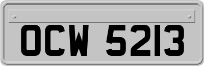 OCW5213