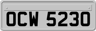 OCW5230
