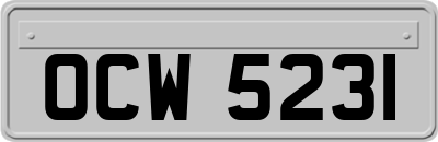 OCW5231