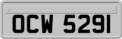 OCW5291