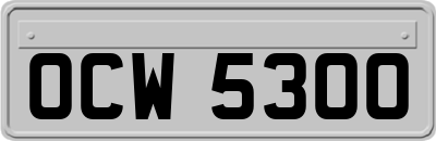 OCW5300