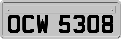 OCW5308