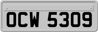 OCW5309