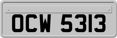 OCW5313